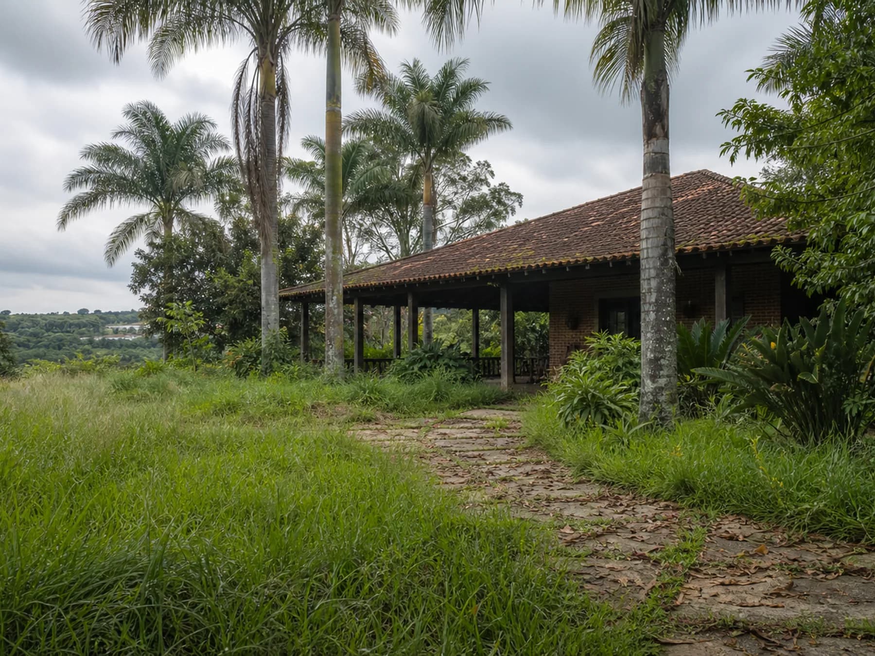 Entrada de chácara com grama alta antes da manutenção