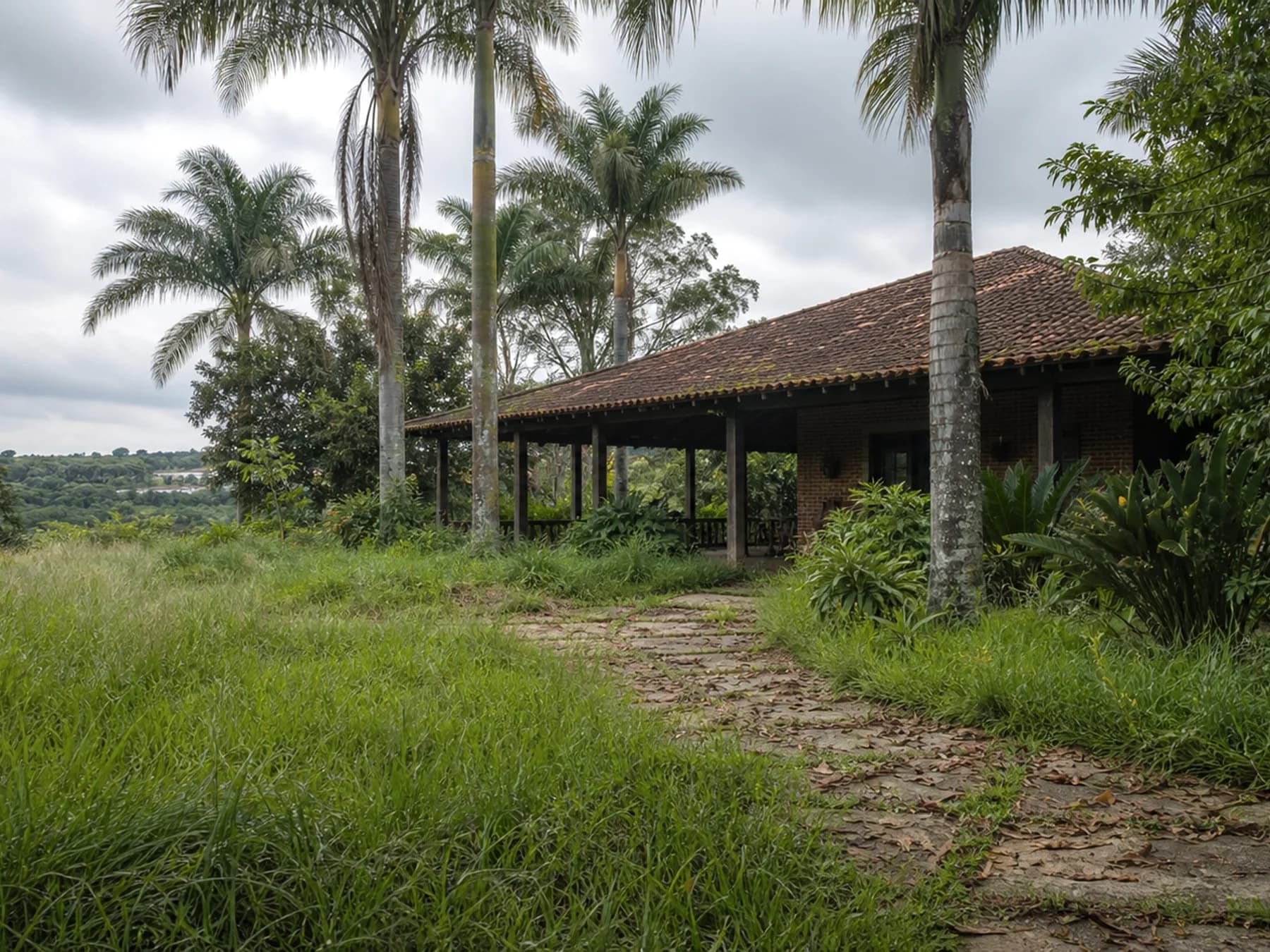 Fundo de chácara com gramado alto antes da roçagem