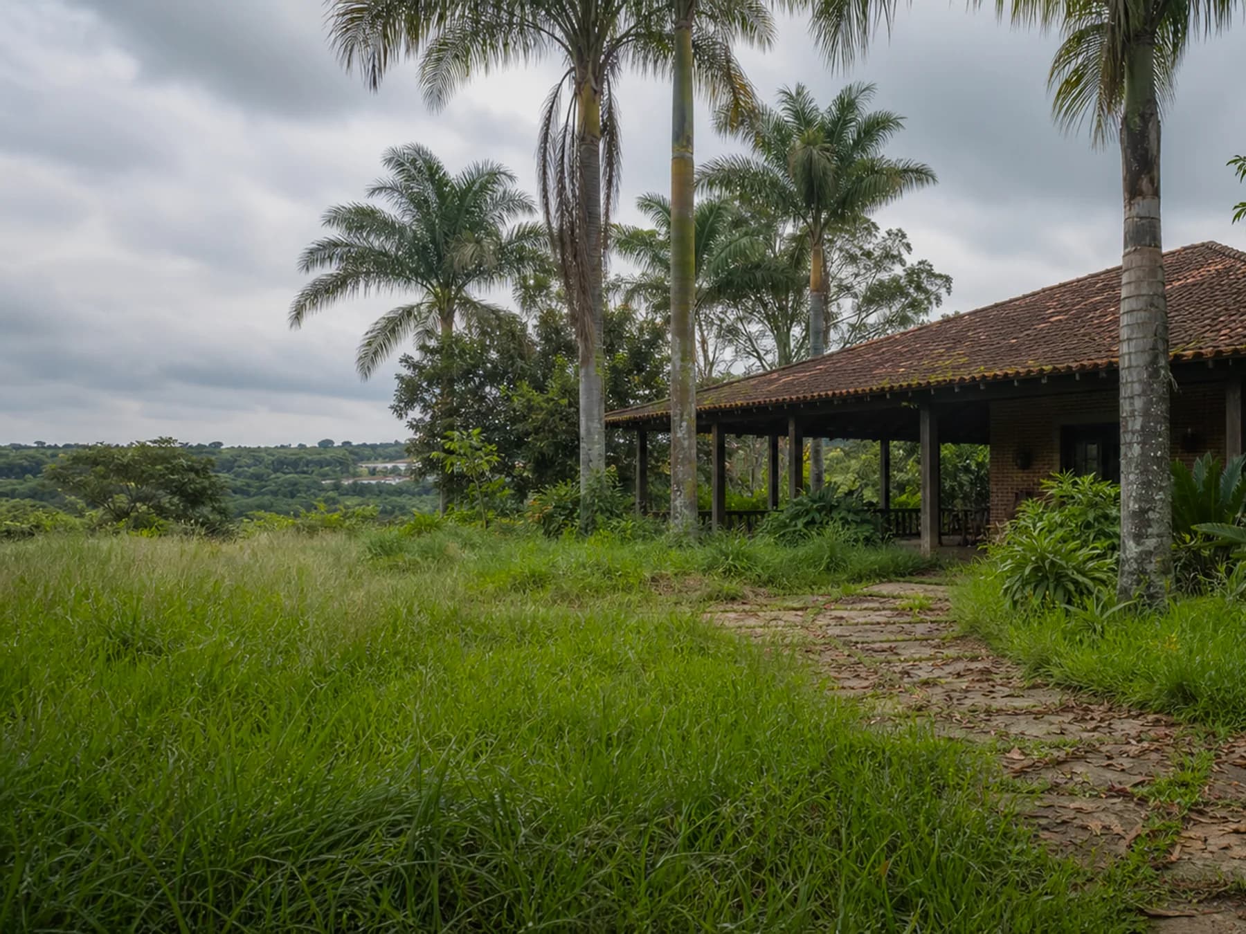 Jardim frontal de chácara com mato e folhas antes da limpeza